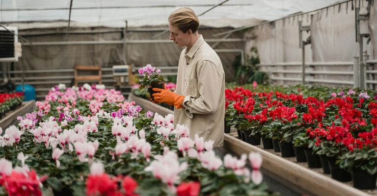 Fiorista in una serra 