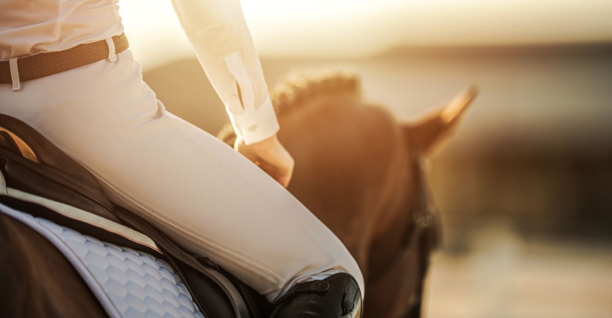 Un cavallo con il suo cavagliere