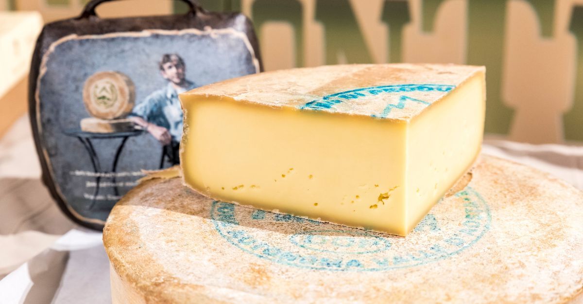 fontina valdostana