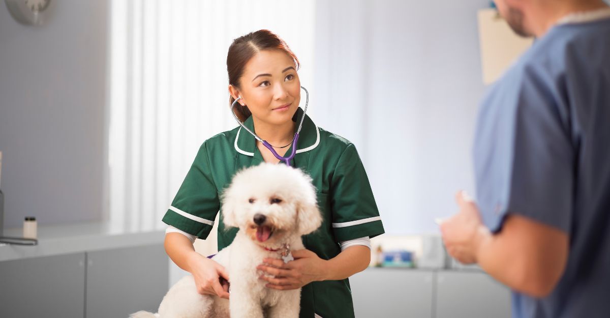 Un cane dal veterinario