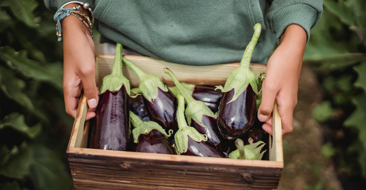 Ragazza con una cassetta con melanzane