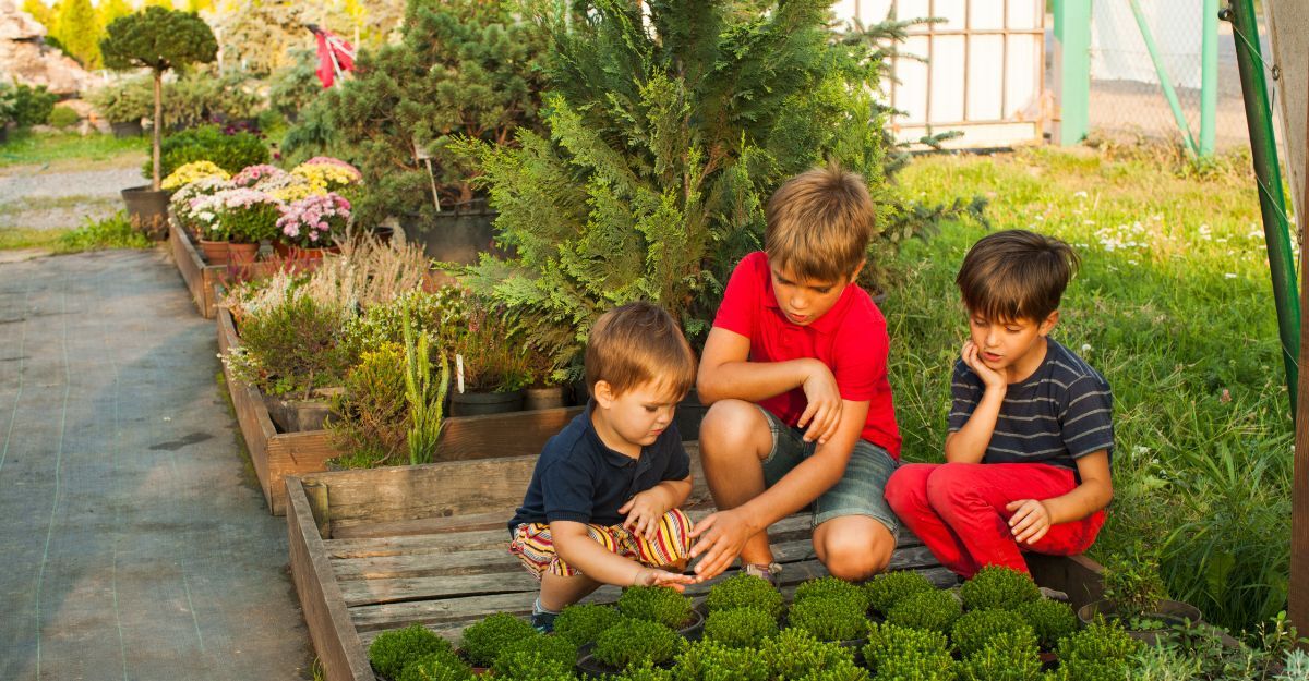 bambini-curano-piantine