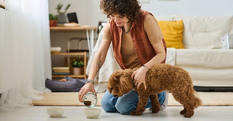 Ragazza che versa il cibo nella ciotola del suo cane che sta per mangiare