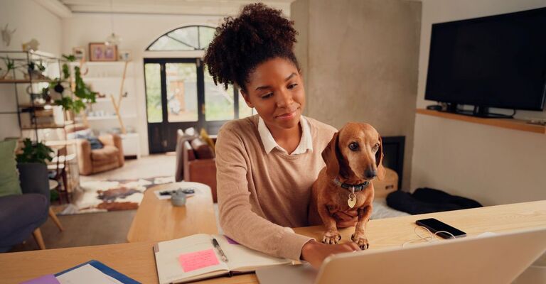 Ragazza seduta davanti al PC col suo bassotto che controlla i documenti