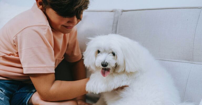 Bambino con il suo cane sul divano mentre lo coccola