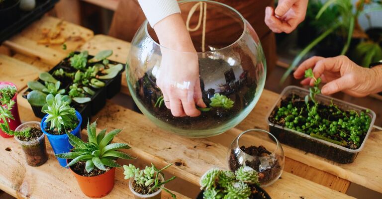 Donna che sistema un terrario su un tavolo di legno pieno di piccole piante e della mano di un'altra persona che aiuta
