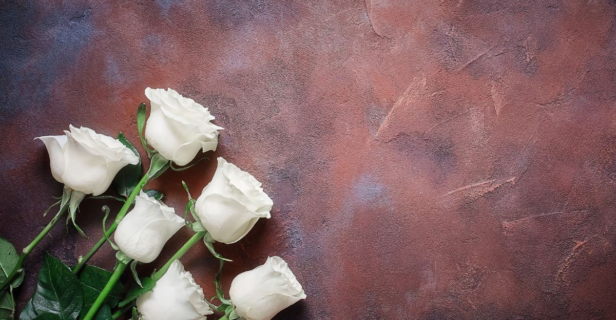 rose bianche su una superficie in marmo