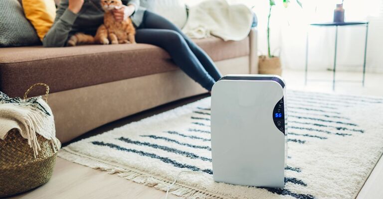 giovane donna si rilassa sul divano con il suo gatto mentre un deumidificatore lavora