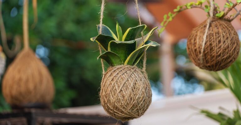 Piante in stile kokedama appese
