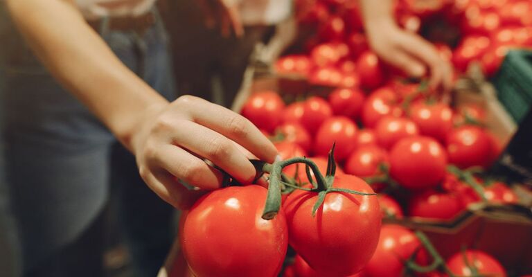 Mano che sceglie pomodori freschi al supermercato, grappolo di pomodori rossi maturi in primo piano.