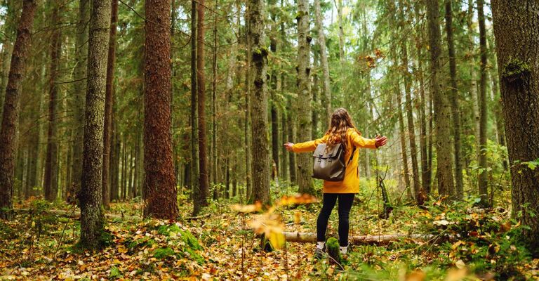 Ragazza in una foresta che a braccia aperte si gode la natura intorno a sé
