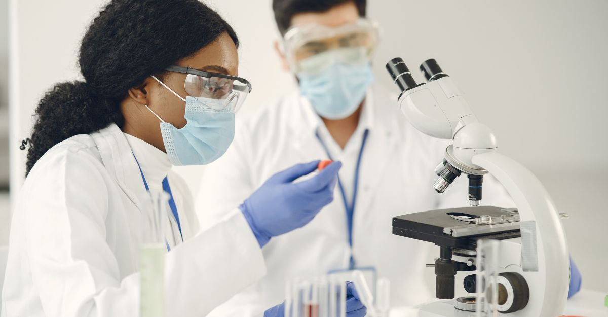 Due scienziati studiano al microscopio