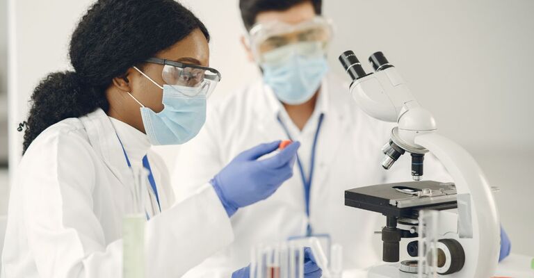 Due scienziati studiano al microscopio