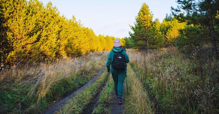 Donna in abbigliamento sportivo che cammina in un bosco