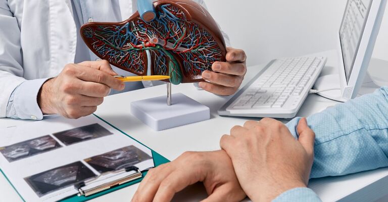 Medico mostra un modello anatomico del fegato a un paziente durante una visita specialistica, con immagini ecografiche sul tavolo e computer in ambulatorio.