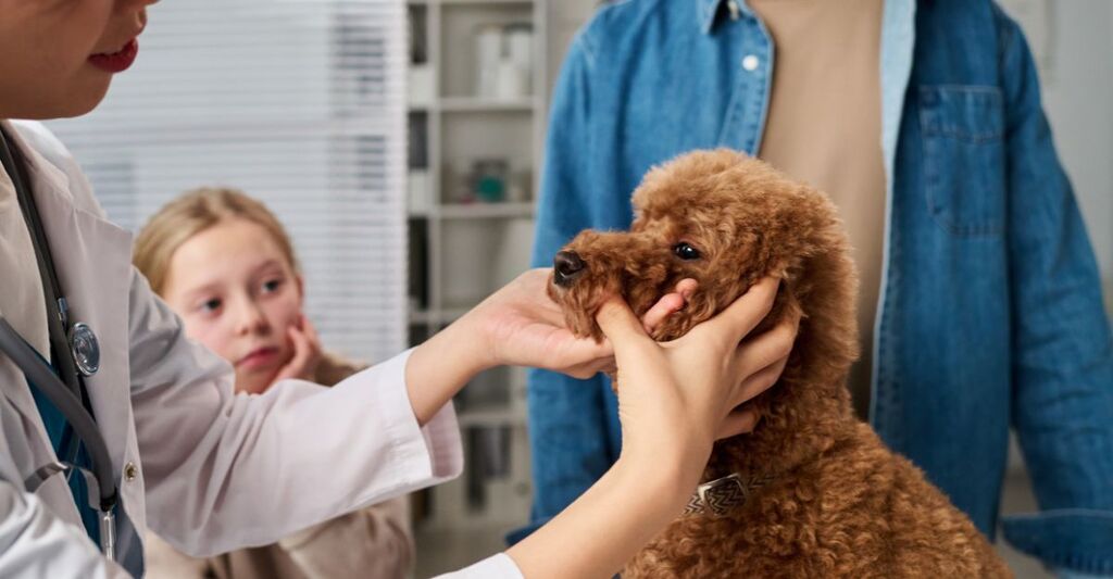 Veterinaria controlla il muso di un cane mentre i padroni, tra cui una bambina, assistono alla visita