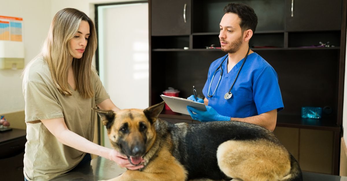 Cliente con Pastore Tedesco durante una visita sul tavolo apposito accanto al veterinario che ha un cartellina in mano