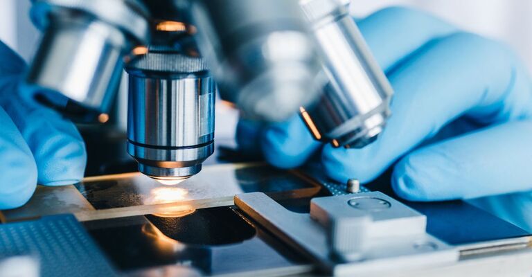 Analisi di laboratorio al microscopio per la diagnosi della Candida auris, fungo resistente agli antifungini.