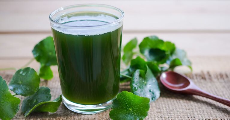 Centella asiatica bicchiere con bevanda verde alla centella asiatica