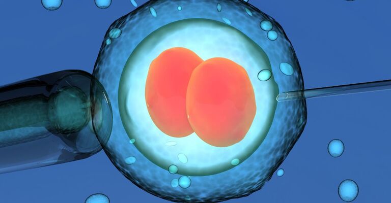 ovulo umano in laboratorio