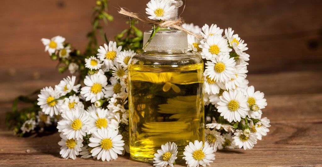 Olio di camomilla in una boccetta di vetro.