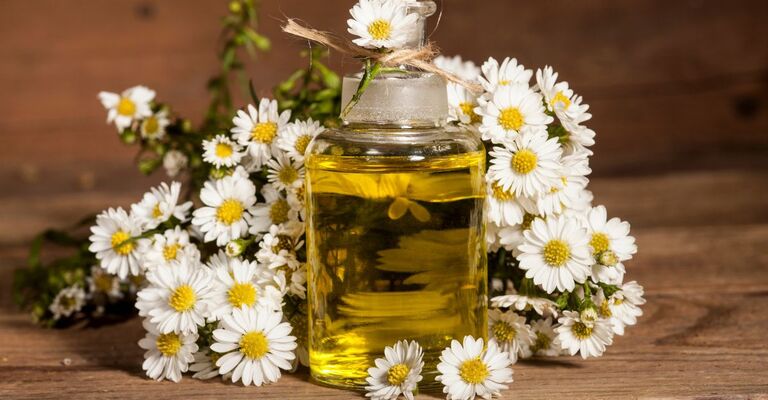 Olio di camomilla Olio di camomilla in una boccetta di vetro.