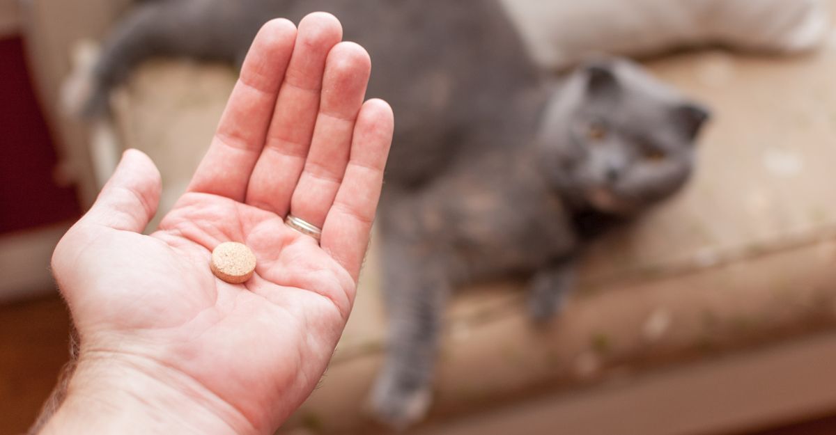 Un uomo con una pastiglia di deltacortene in mano e un gatto accanto.