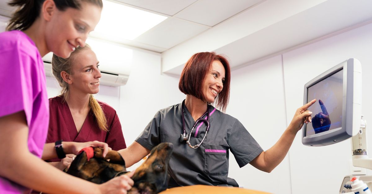 Tre veterinari sorridono guardando un monitor ecografico mentre accudiscono un cane.