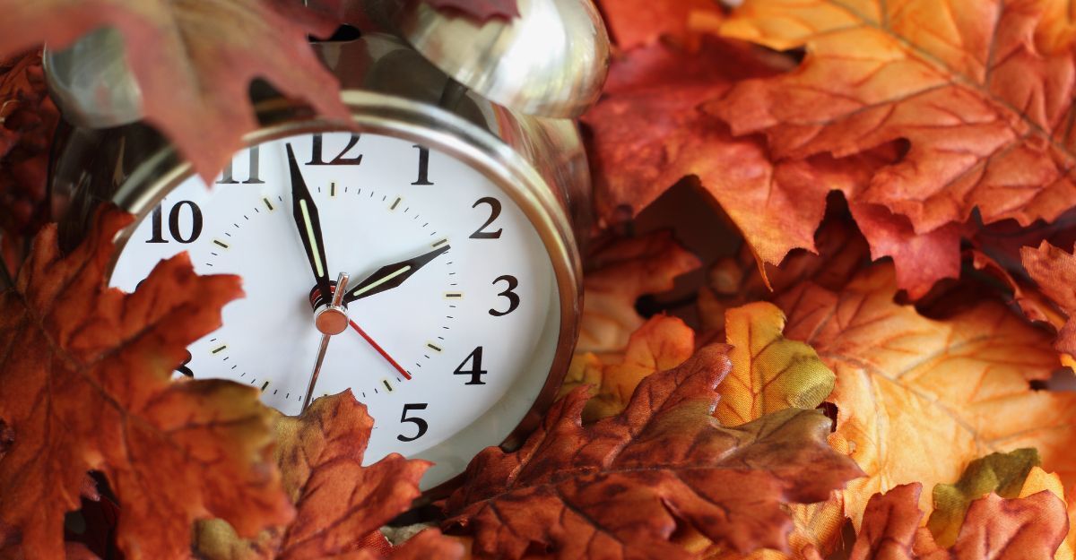 Ritorno all'ora solare: i benefici Una sveglia nel fogliame d'autunno.
