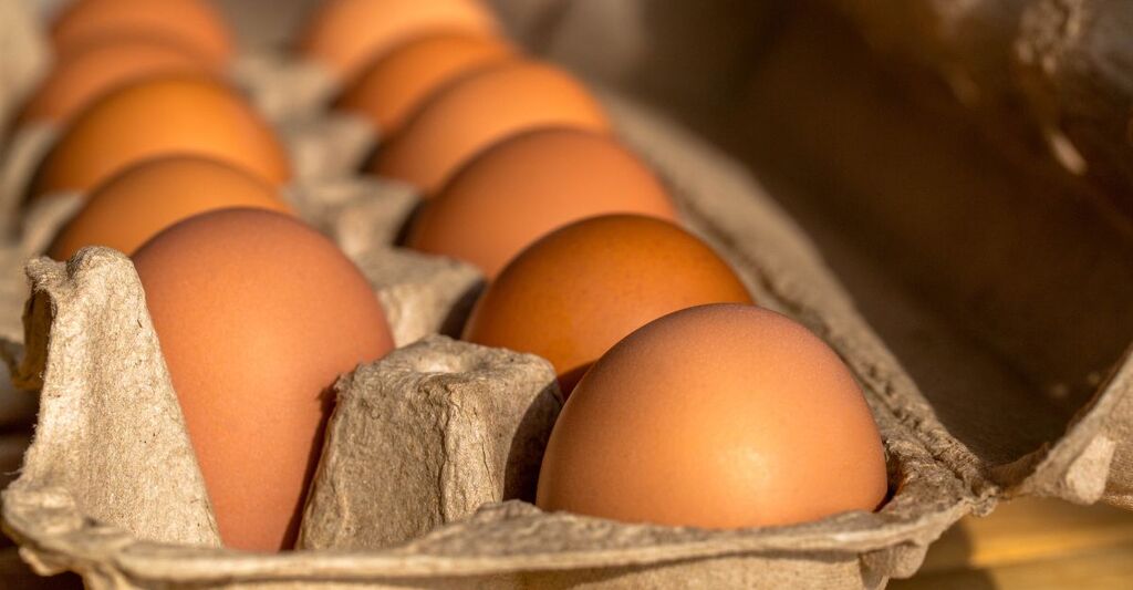 Uova fresche ritirate in un cartone.