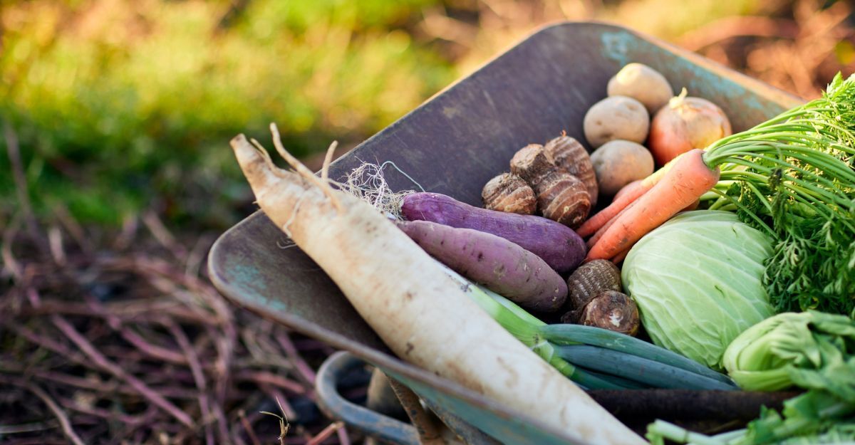 Frutta e verdura fresca in una carriola.
