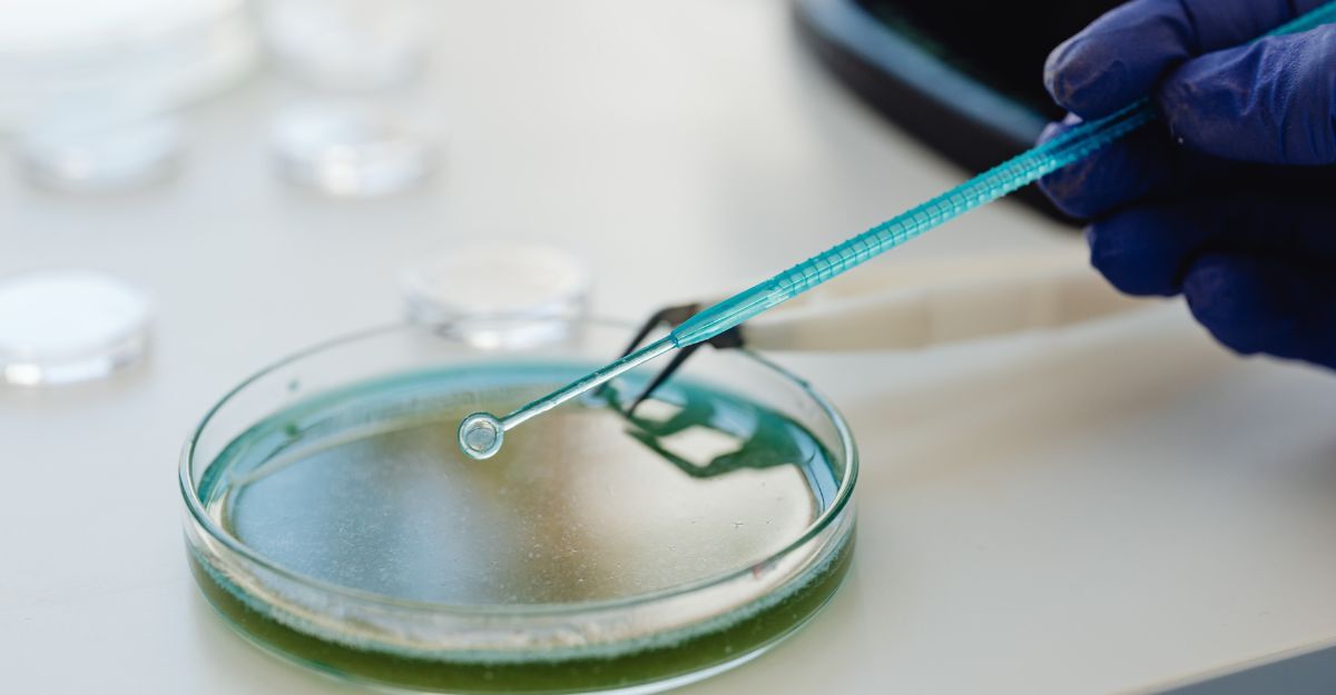 immagini di laboratorio