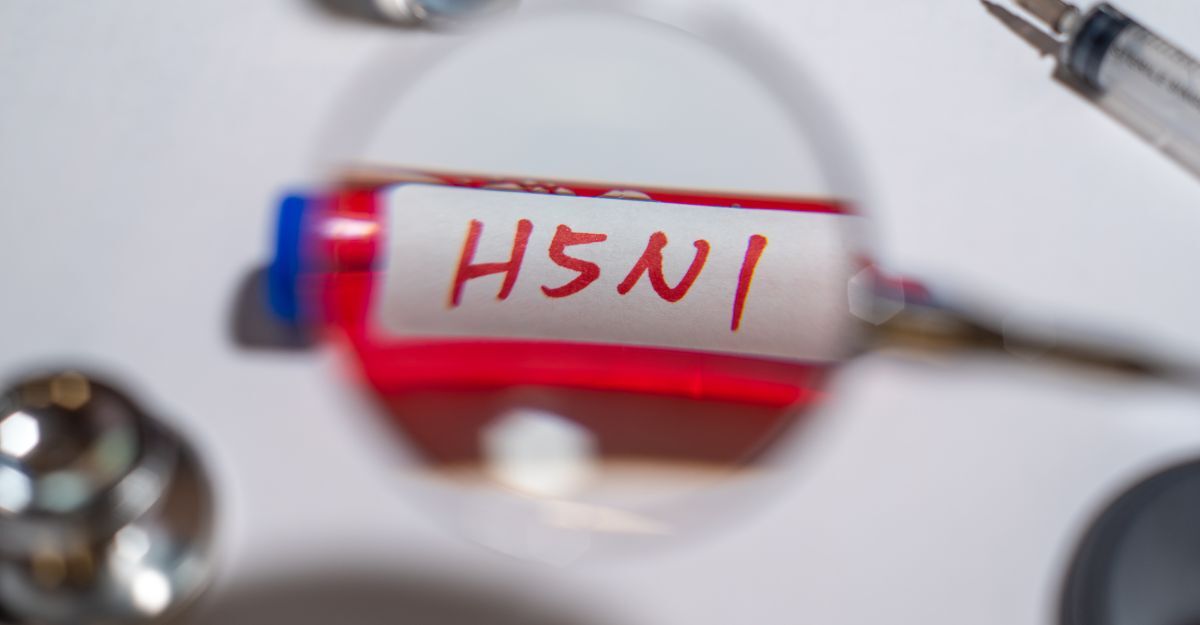 Primo piano su provetta con etichetta H5N1.