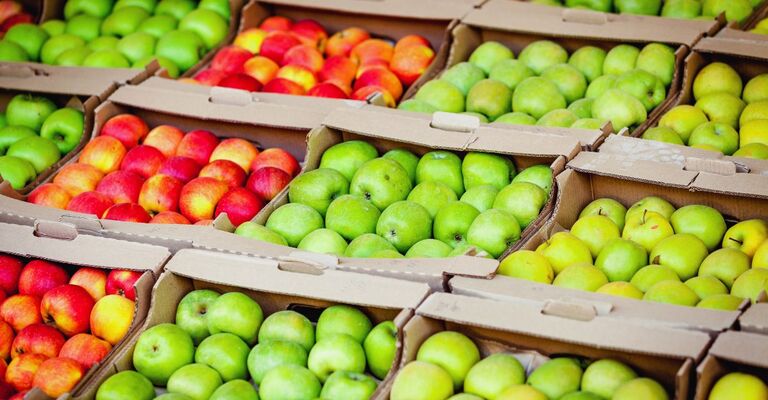 Tre varietà di mela con potenziali benefici su infiammazione e invecchiamento.