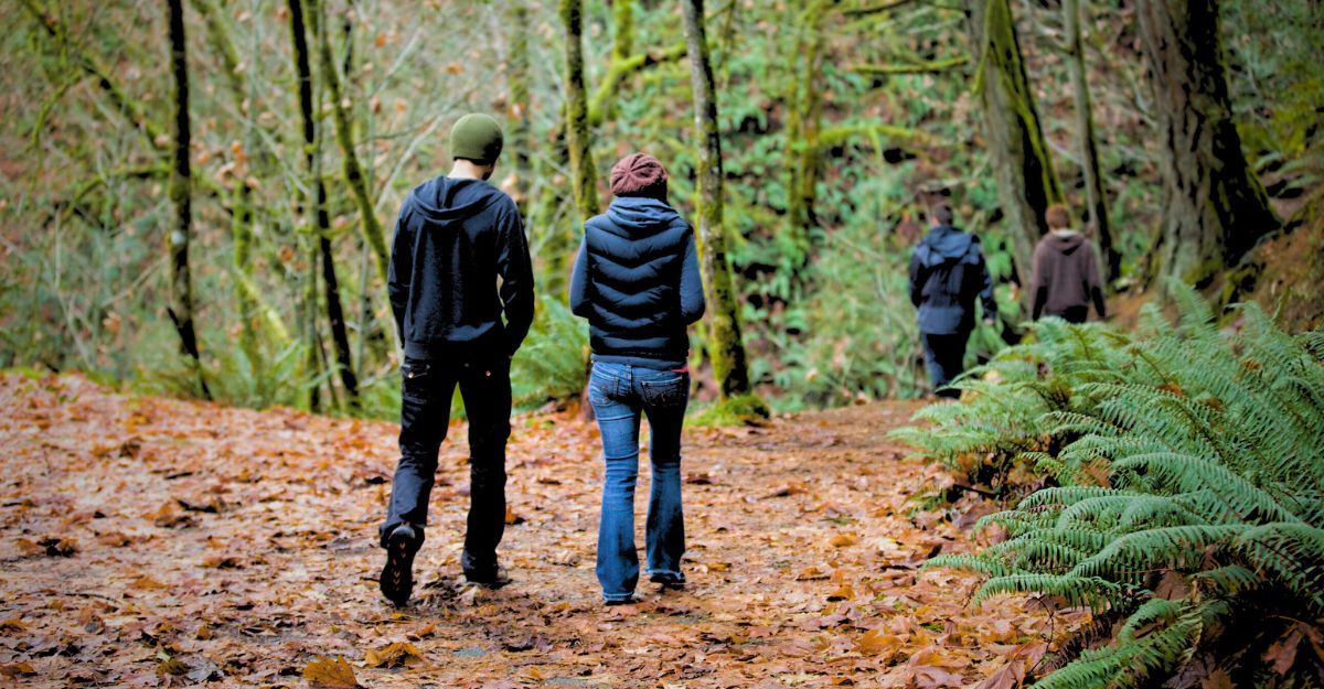 Due coppie camminano nel bosco come terapia.