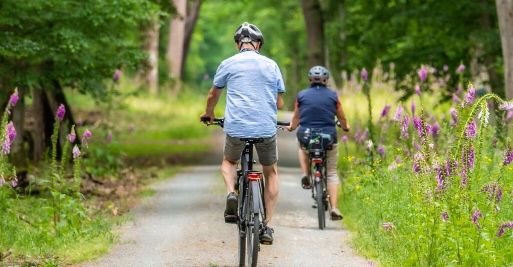 persone vanno in biciletta al parco