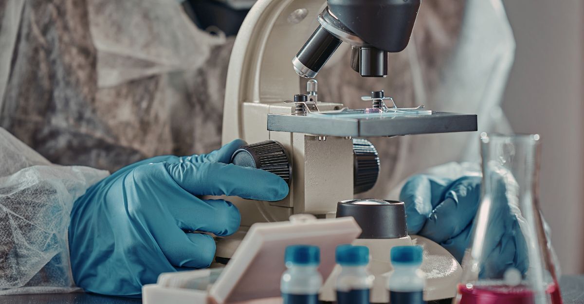 Primo piano di un ricercatore con guanti azzurri che regola la messa a fuoco di un microscopio ottico