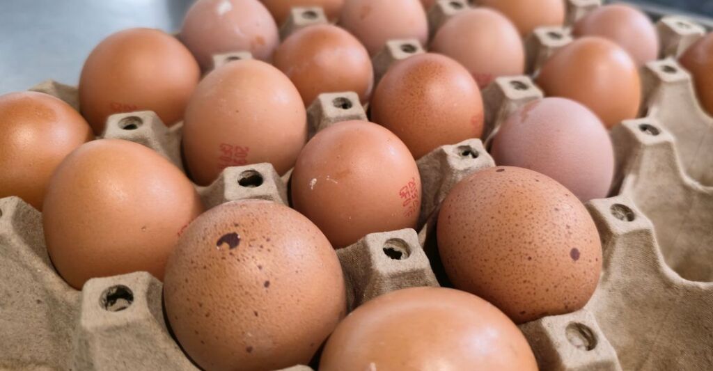 Una confezione di cartone piena di uova fresche marroni, alcune delle quali presentano codici di tracciabilità stampati sul guscio