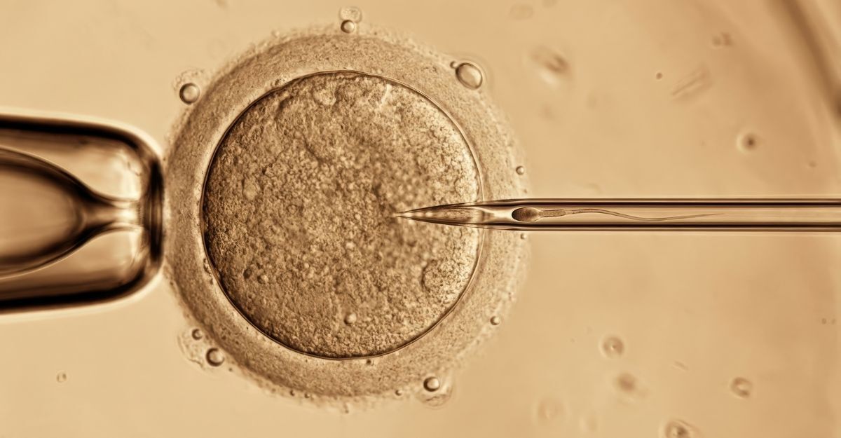 fecondazione in vitro
