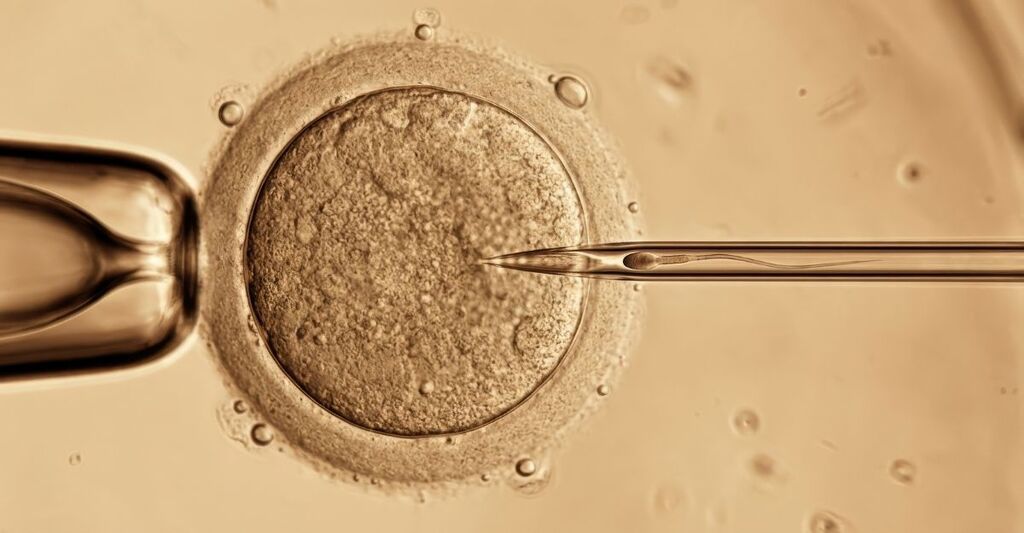 fecondazione in vitro