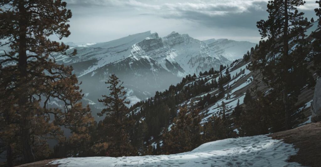 Veduta panoramica di montagne innevate e pinete sotto un cielo nuvoloso, scattata da un sentiero in quota
