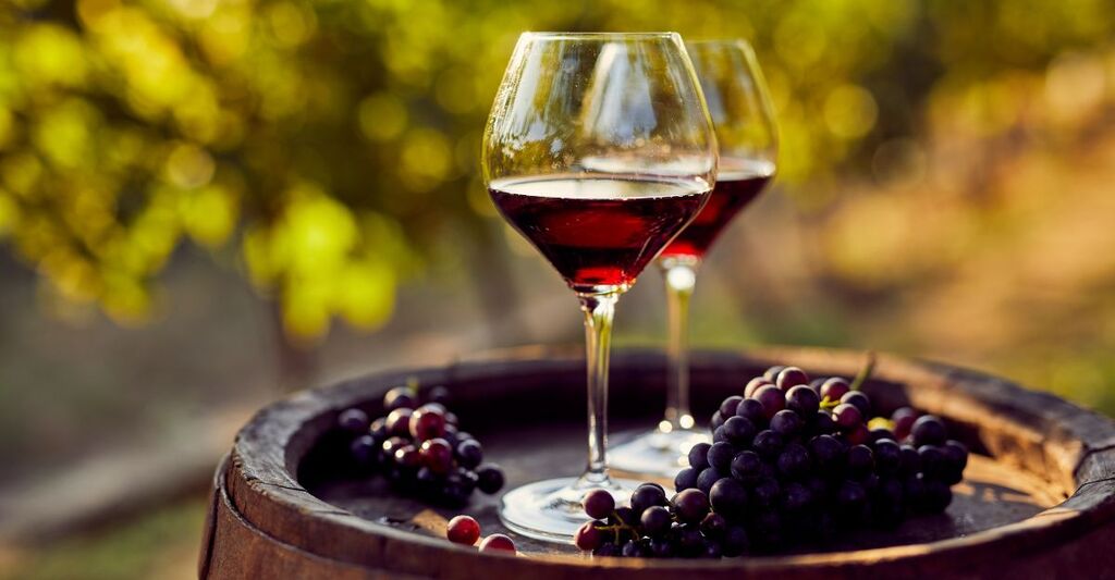 Vino Valpolicella in un calice accanto all'uva nera.