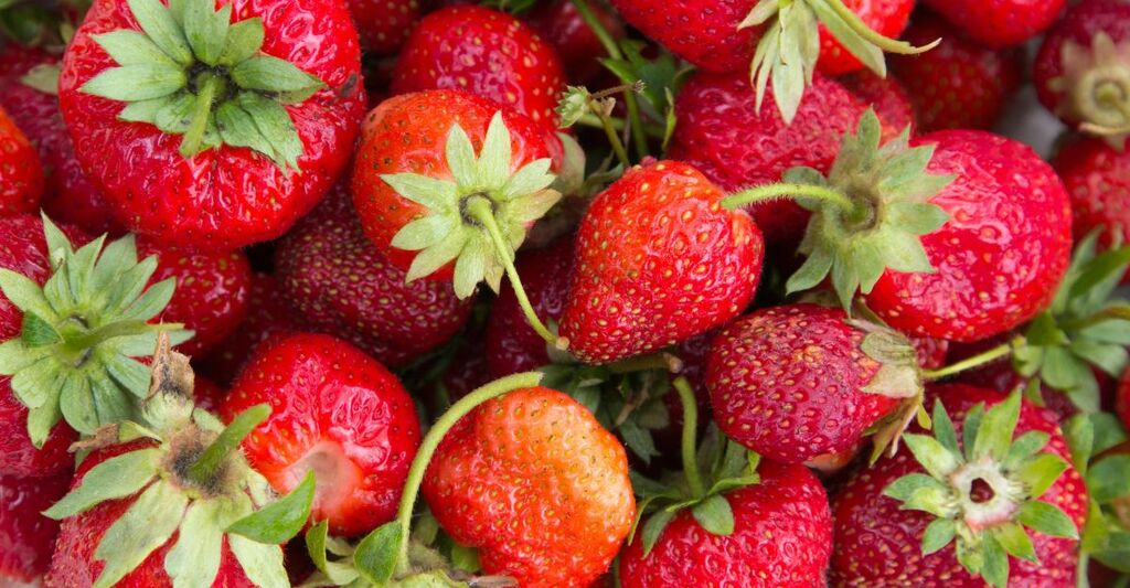 Delle fragole