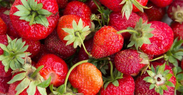Delle fragole