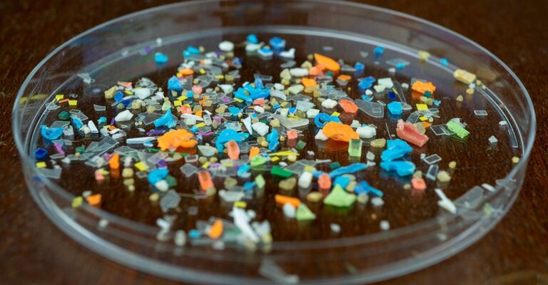 Delle microplastiche osservate al microscopio