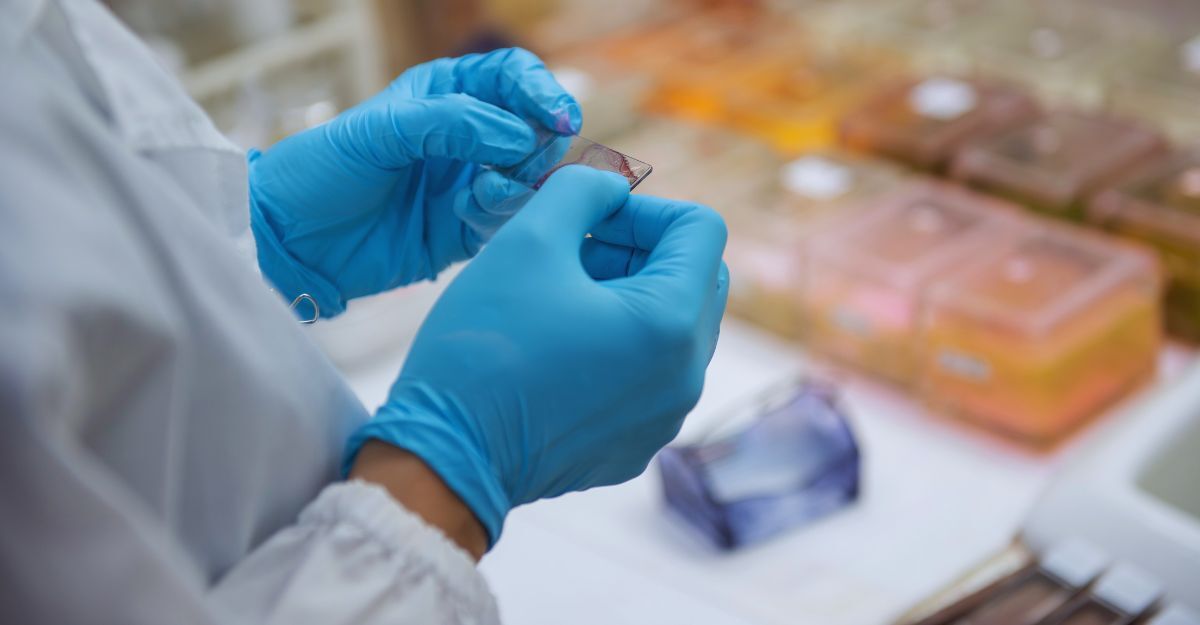 Scienziati medici preparano vetrini citologici per i patologi che devono effettuare diagnosi in ospedale.