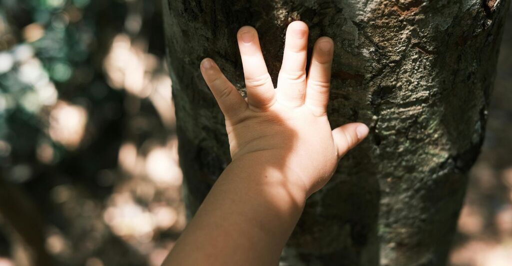 Primo piano della mano di un bambino appoggiata sul tronco di un albero