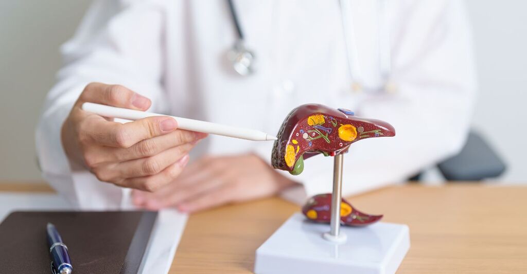 Un medico indica con una penna un modello anatomico del fegato umano su una scrivania.