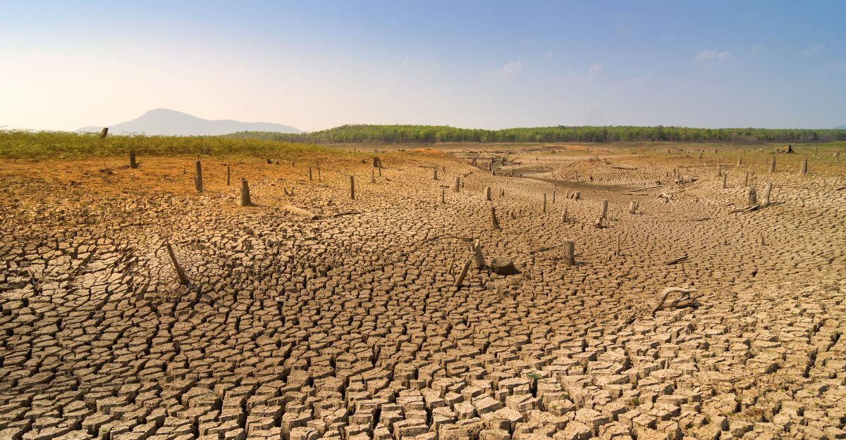 terra arida