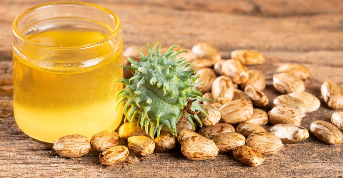 Delle bacche di ricina